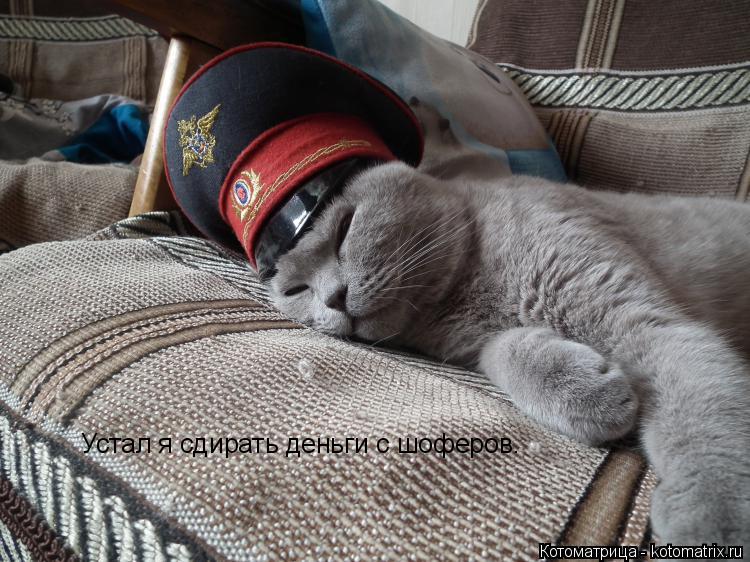 Котоматрица: Устал я сдирать деньги с шоферов.