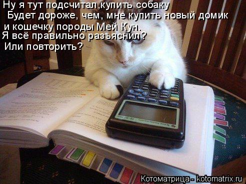 Котоматрица: Ну я тут подсчитал,купить собаку Будет дороже, чем, мне купить новый домик и кошечку породы Мей Кун. Я всё правильно разъяснил?  Или повторит