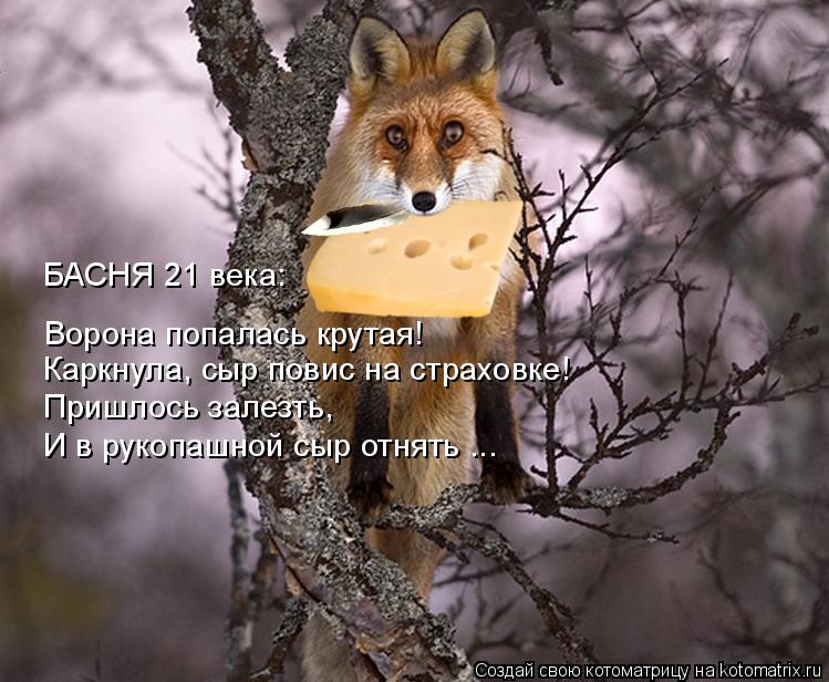 Котоматрица: БАСНЯ 21 века: Ворона попалась крутая! Каркнула, сыр повис на страховке! Пришлось залезть, И в рукопашной сыр отнять ...