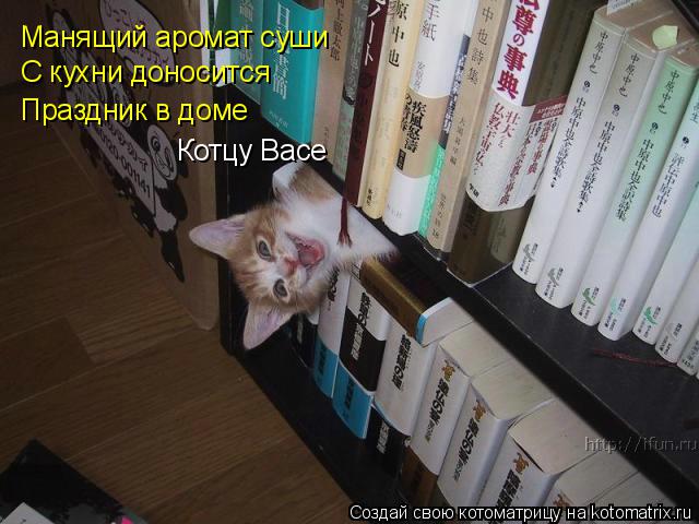 Котоматрица: Манящий аромат суши С кухни доносится Праздник в доме Котцу Васе