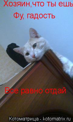 Котоматрица: Хозяин,что ты ешь?  Фу, гадость Все равно отдай