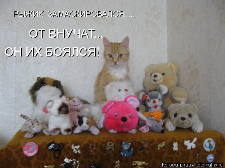 Котоматрица: РЫЖИК  ЗАМАСКИРОВАЛСЯ..... ОТ ВНУЧАТ... ОН ИХ БОЯЛСЯ!