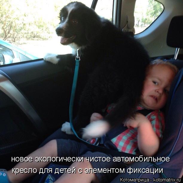 новое экологически чистое автомобильное кресло для детей с элементом фиксации... Котоматрица: новое экологически чистое автомобильное кресло для детей с элементом фиксации