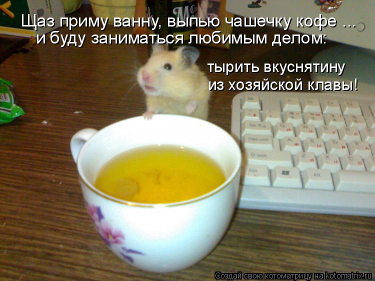Котоматрица: Щаз приму ванну, выпью чашечку кофе ... и буду заниматься любимым делом: тырить вкуснятину из хозяйской клавы!