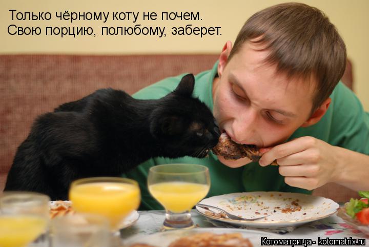 Котоматрица: Только чёрному коту не почем. Свою порцию, полюбому, заберет.