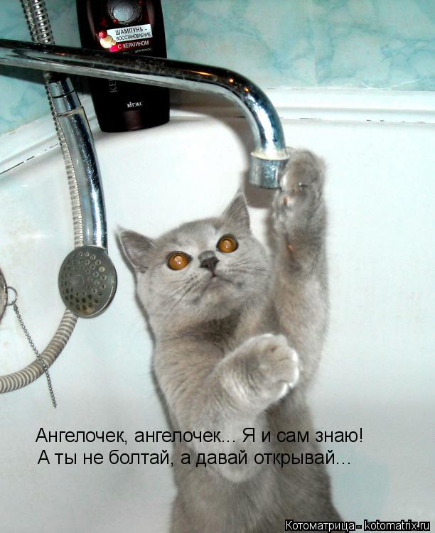 Котоматрица: Ангелочек, ангелочек... Я и сам знаю!   А ты не болтай, а давай открывай…