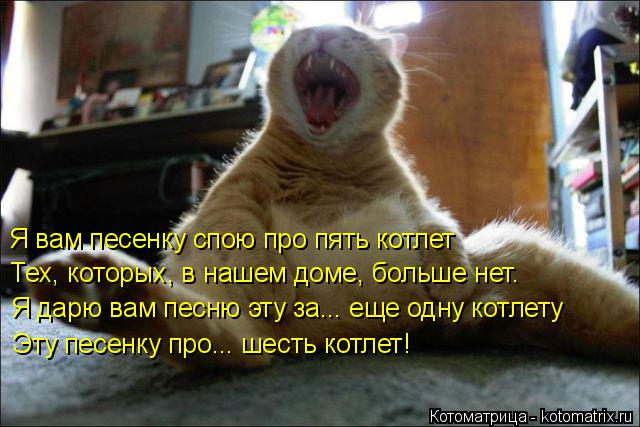 Котоматрица: Я вам песенку спою про пять котлет   Тех, которых, в нашем доме, больше нет.  Я дарю вам песню эту за... еще одну котлету  Эту песенку про... шесть 