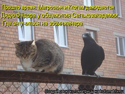 Котоматрица: Прошло время. Матроскин и Ктотам дожидаются Дядю Фёдора у общежития Сельхозакадемии, Где он учиться на зооинженера.