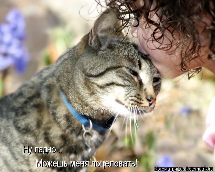 Котоматрица: Ну ладно...  Можешь меня поцеловать!
