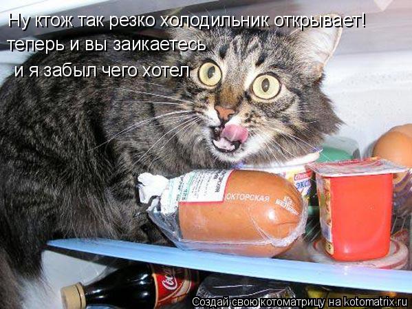 Котоматрица: Ну ктож так резко холодильник открывает! теперь и вы заикаетесь и я забыл чего хотел