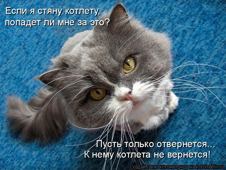 Котоматрица: Если я стяну котлету,  попадет ли мне за это? К нему котлета не вернется! Пусть только отвернется...