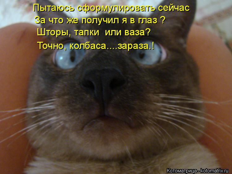 Котоматрица: Пытаюсь сформулировать сейчас За что же получил я в глаз ? Шторы, тапки  или ваза? Точно, колбаса....зараза.!