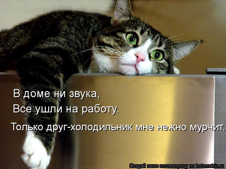 Котоматрица: В доме ни звука, Все ушли на работу. Только друг-холодильник мне нежно мурчит.