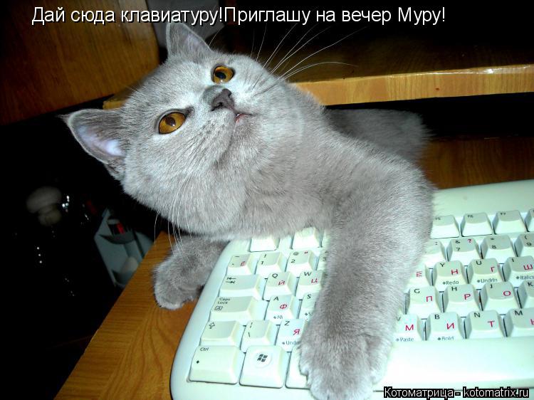 Котоматрица: Дай сюда клавиатуру!Приглашу на вечер Муру!