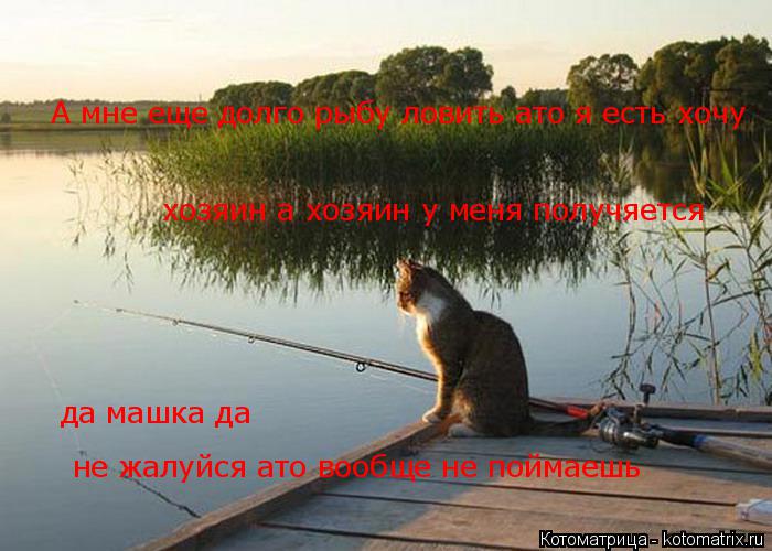 Котоматрица: хозяин а хозяин у меня получяется да машка да А мне еще долго рыбу ловить ато я есть хочу не жалуйся ато вообще не поймаешь