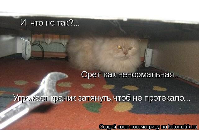 Котоматрица: И, что не так?... Орет, как ненормальная... Угрожает краник затянуть,чтоб не протекало...