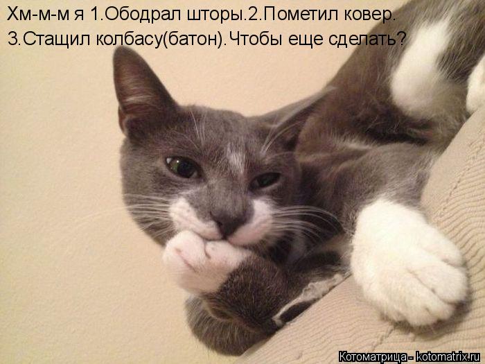 Котоматрица: Хм-м-м я 1.Ободрал шторы.2.Пометил ковер. 3.Стащил колбасу(батон).Чтобы еще сделать?
