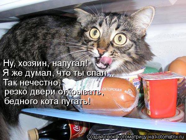 Котоматрица: Я же думал, что ты спал... Так нечестно,  резко двери открывать, Ну, хозяин, напугал! бедного кота пугать!