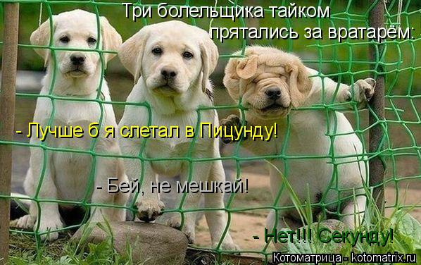 Котоматрица: Три болельщика тайком  прятались за вратарём: - Лучше б я слетал в Пицунду! - Нет!!! Секунду! - Бей, не мешкай!