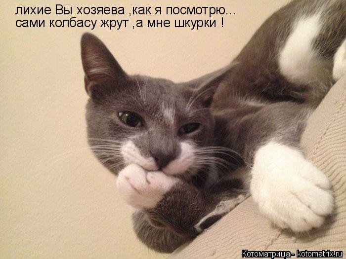 Котоматрица: лихие Вы хозяева ,как я посмотрю... сами колбасу жрут ,а мне шкурки !