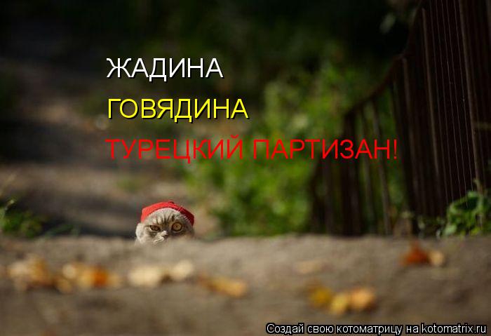 ЖАДИНА ГОВЯДИНА ТУРЕЦКИЙ ПАРТИЗАН!... Котоматрица: ЖАДИНА ГОВЯДИНА ТУРЕЦКИЙ ПАРТИЗАН!