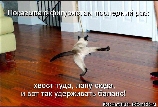 Котоматрица: хвост туда, лапу сюда,  Показываю фигуристам последний раз: и вот так удерживать баланс!