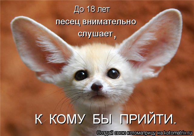 До 18 лет песец внимательно слушает К КОМУ БЫ ПРИЙТИ. ,... Котоматрица: До 18 лет песец внимательно слушает К КОМУ БЫ ПРИЙТИ. ,