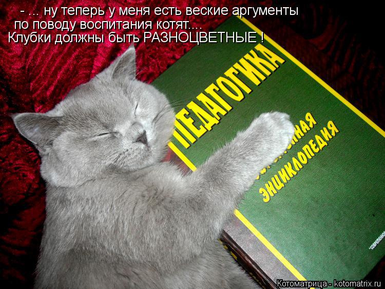 Котоматрица: - ... ну теперь у меня есть веские аргументы по поводу воспитания котят.... Клубки должны быть РАЗНОЦВЕТНЫЕ !