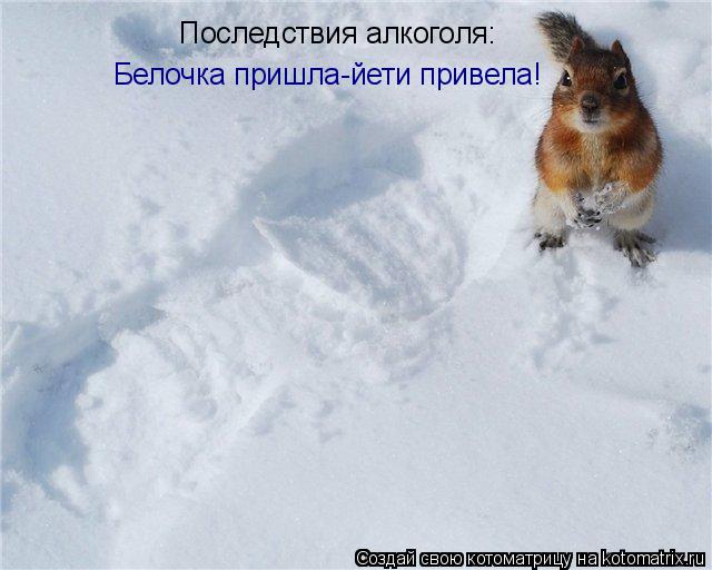 Котоматрица: Последствия алкоголя: Белочка пришла-йети привела!