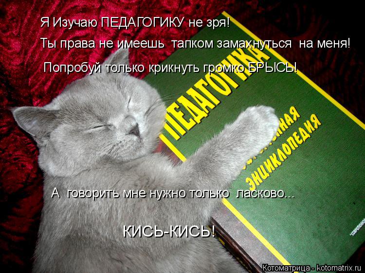 Котоматрица: Я Изучаю ПЕДАГОГИКУ не зря! КИСЬ-КИСЬ! Ты права не имеешь  тапком замахнуться  на меня! Попробуй только крикнуть громко БРЫСЬ! А  говорить мне