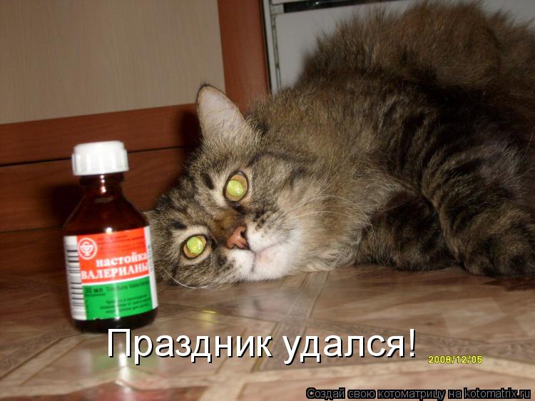 Праздник удался!... Котоматрица: Праздник удался!