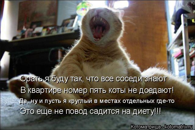 В квартире номер пять коты не доедают! Орать я буду так, что все соседи знают Да, ну и пусть я круглы... Котоматрица: В квартире номер пять коты не доедают! Орать я буду так, что все соседи знают Да, ну и пусть я круглый в местах отдельных где-то Это еще не пов