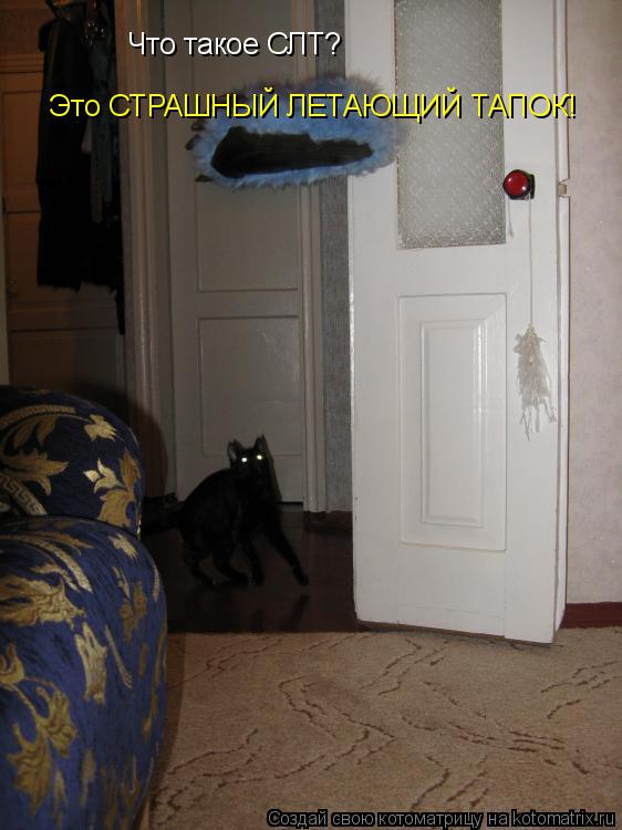 Котоматрица: Что такое СЛТ? Это СТРАШНЫЙ ЛЕТАЮЩИЙ ТАПОК!