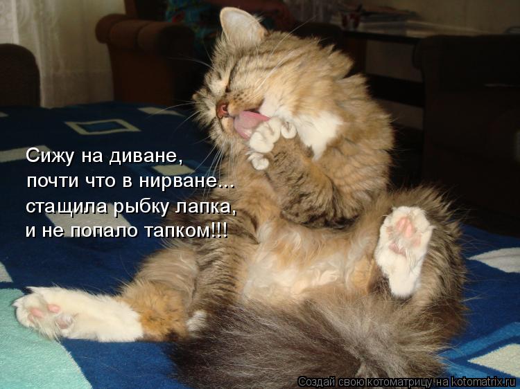 Котоматрица: Сижу на диване,  почти что в нирване... стащила рыбку лапка,  и не попало тапком!!!