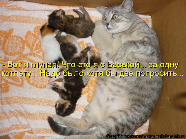 Котоматрица: - Вот я глупая! Что это я с Васькой... за одну котлету... Надо было хотя бы две попросить...