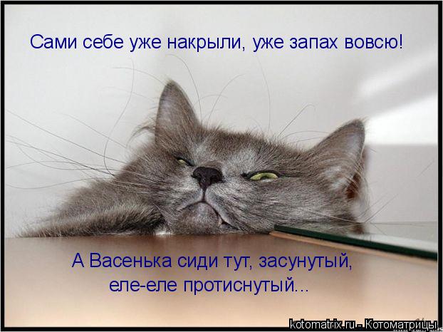 Котоматрица: Сами себе уже накрыли, уже запах вовсю! А Васенька сиди тут, засунутый,  еле-еле протиснутый...