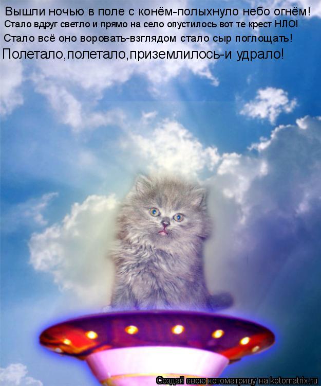Вышли ночью в поле с конём-полыхнуло небо огнём! Стало вдруг светло и прямо на село опустилось вот те... Котоматрица: Вышли ночью в поле с конём-полыхнуло небо огнём! Стало вдруг светло и прямо на село опустилось вот те крест НЛО! Стало всё оно воровать-взгля