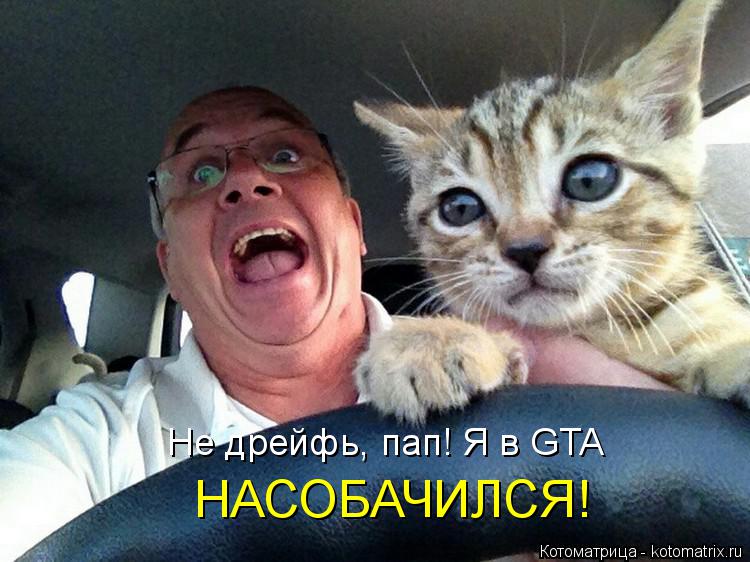 Не дрейфь, пап! Я в GTA НАСОБАЧИЛСЯ!... Котоматрица: Не дрейфь, пап! Я в GTA НАСОБАЧИЛСЯ!