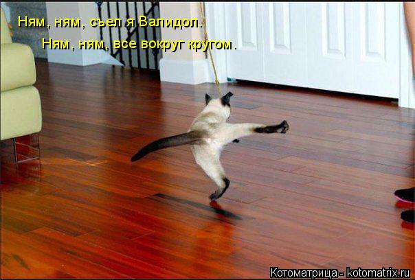 Ням, ням, съел я Валидол. Ням, ням, все вокруг кругом.... Котоматрица: Ням, ням, съел я Валидол. Ням, ням, все вокруг кругом.