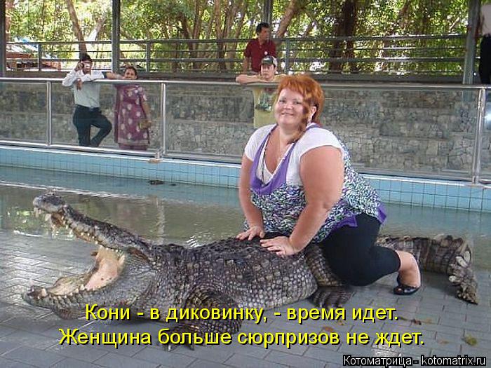 Котоматрица: Кони - в диковинку, - время идет. Женщина больше сюрпризов не ждет.