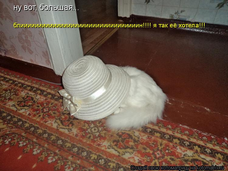 Котоматрица: ну вот, большая... блииииииииииииииииииииииииииииииииин!!!! я так её хотела!!!