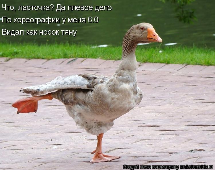 Что, ласточка? Да плевое дело По хореографии у меня 6:0 Видал как носок тяну... Котоматрица: Что, ласточка? Да плевое дело По хореографии у меня 6:0 Видал как носок тяну