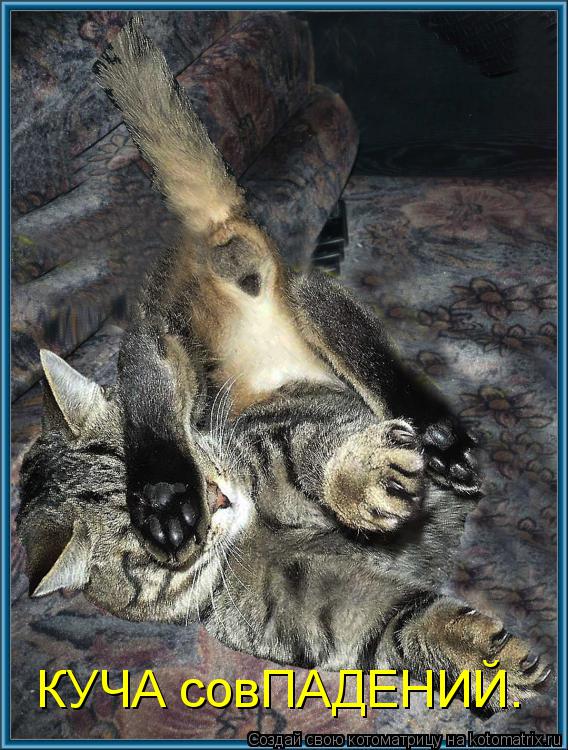 Котоматрица: КУЧА совПАДЕНИЙ.