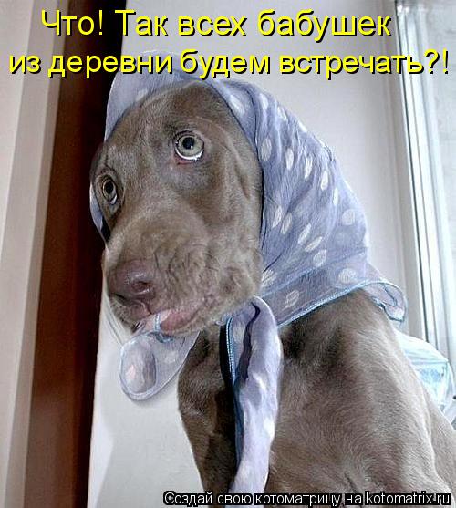 Что! Так всех бабушек из деревни будем встречать?!... Котоматрица: Что! Так всех бабушек из деревни будем встречать?!