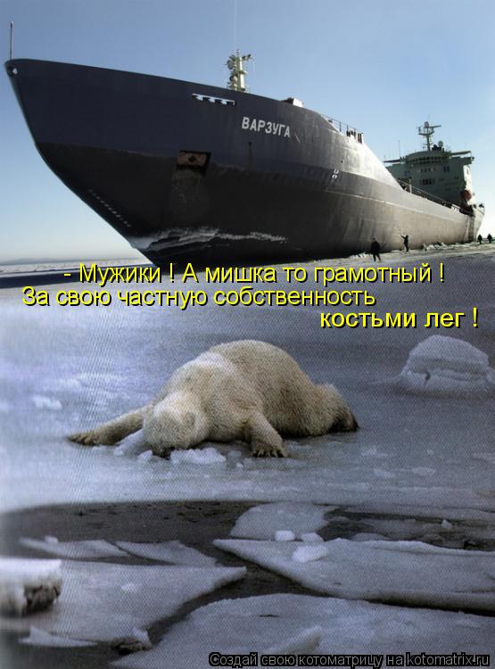 Котоматрица: - Мужики ! А мишка то грамотный ! За свою частную собственность  костьми лег !