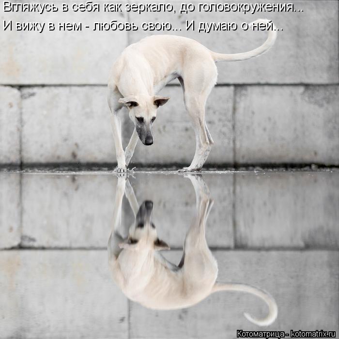 Вгляжусь в себя как зеркало, до головокружения... И вижу в нем - любовь свою... И думаю о ней...... Котоматрица: Вгляжусь в себя как зеркало, до головокружения... И вижу в нем - любовь свою... И думаю о ней...