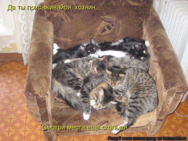 Котоматрица: Да ты присаживайся, хозяин... Смотри места еще сколько!