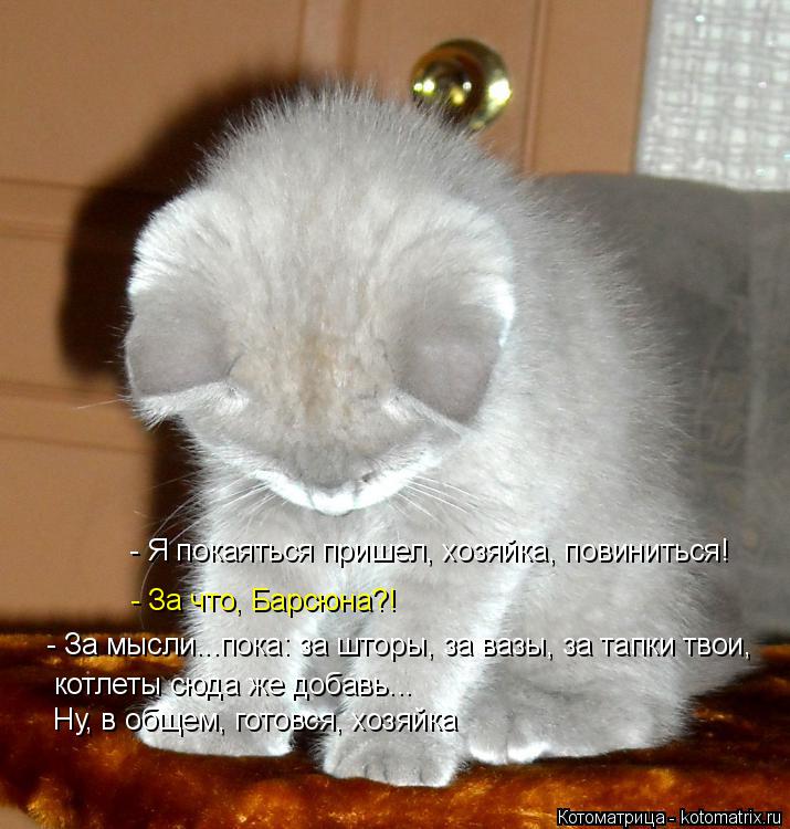 Котоматрица: - За что, Барсюна?! котлеты сюда же добавь... Ну, в общем, готовся, хозяйка - За мысли...пока: за шторы, за вазы, за тапки твои, - Я покаяться пришел, 