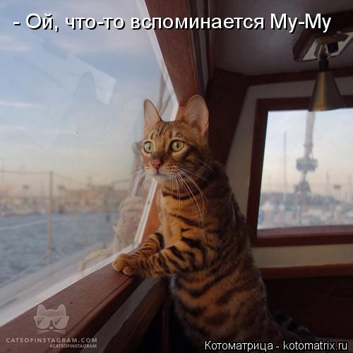 Котоматрица: - Ой, что-то вспоминается Му-Му