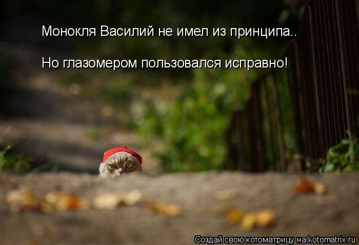 Но глазомером пользовался исправно! Монокля Василий не имел из принципа..... Котоматрица: Но глазомером пользовался исправно! Монокля Василий не имел из принципа..